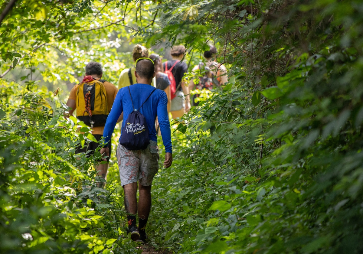 WF101_Walking_Benefit_Image_1200_840_1